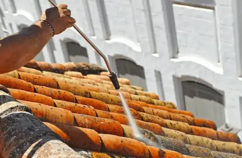 Nettoyage de toitures - Champdieu